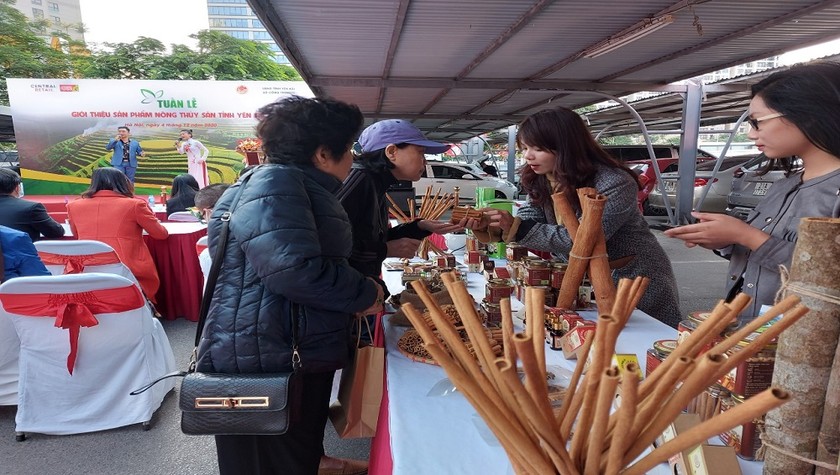 Người dân thủ đô thích thú với các sản phẩm nông sản Yên Bái.