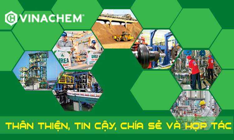Phê duyệt kế hoạch cơ cấu lại Tập đoàn Hóa chất Việt Nam