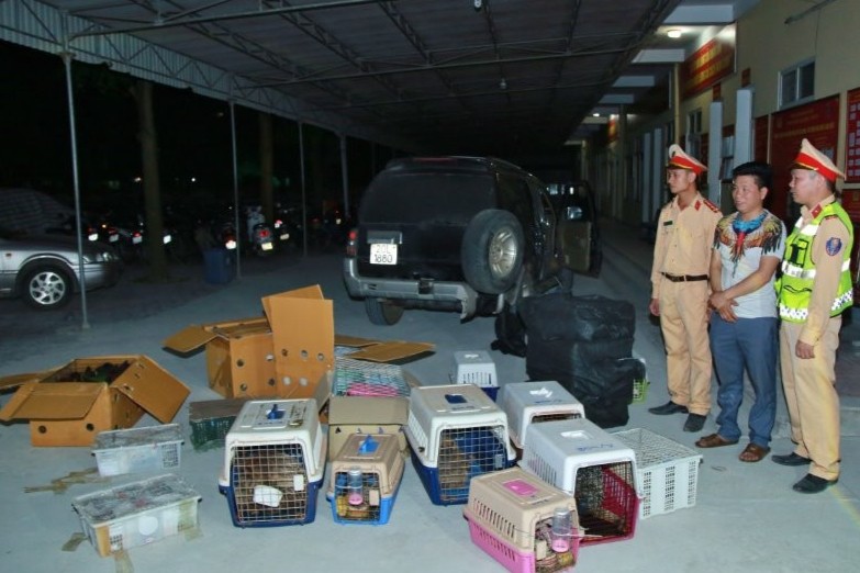 Lực lượng chức năng phát hiện 21 thùng hàng chứa 420 cá thể động vật hoang dã quý hiếm còn sống