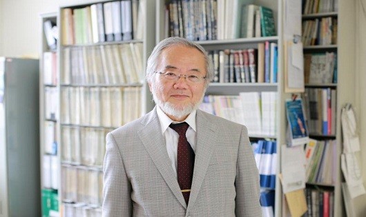 Giáo sư Yoshinori Ohsumi. Ảnh: Reuters
