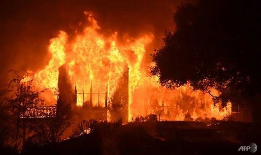 Cháy rừng bùng phát dữ dội tại California.