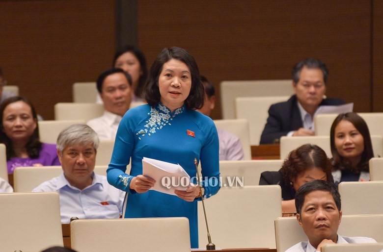 ĐB Mai Thị Phương Hoa phát biểu tại phiên họp.