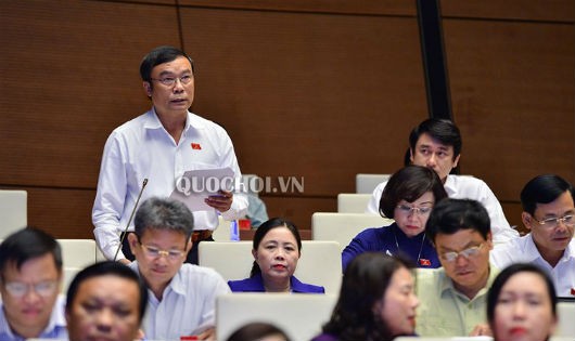 ĐB Nguyễn Bá Sơn phát biểu tại phiên họp.