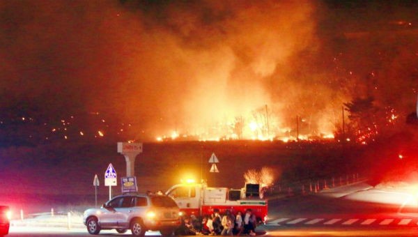 Hình ảnh vụ cháy rừng.