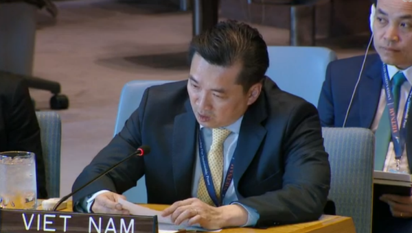 Đại sứ Phạm Hải Anh pháy biểu tại phiên thảo luận.