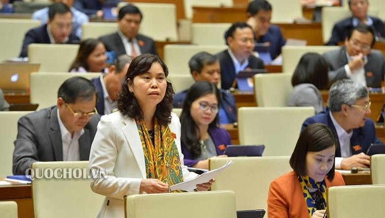 ĐB Trần Thị Hằng (đoàn Bắc Ninh) phát biểu tại phiên họp.