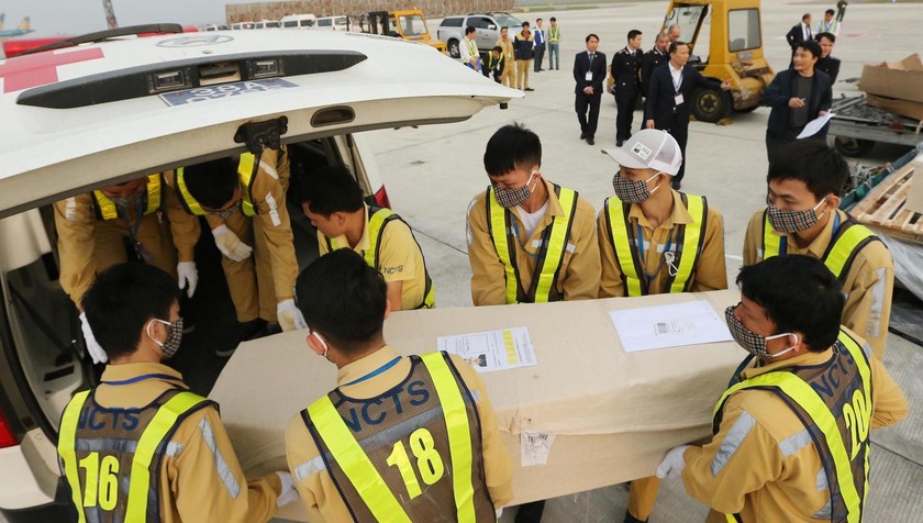 Các nạn nhân được đưa về tới sân bay Nội Bài sáng nay (27/11). Ảnh: Bộ Ngoại giao.