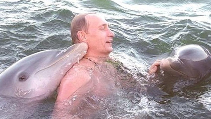Tổng thống Nga Vladimir Putin vui đùa bên những chú cá heo.