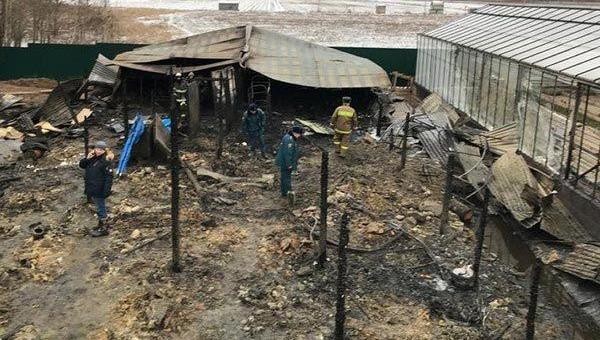 Các nhân viên thuộc Bộ Khẩn cấp Nga đang điều tra hiện trường vụ cháy nông trại nhà kính ở vùng ngoại ô Moscow, Nga ngày 7/1. Ảnh: AP