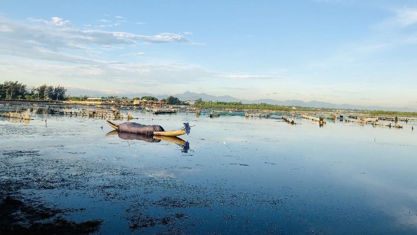 Vùng đất ngập nước Tam Giang - Cầu Hai.