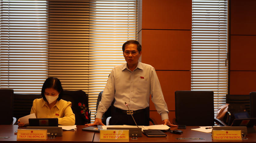 Bộ trưởng Bùi Thanh Sơn phát biểu tại phiên họp.