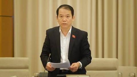 Ông Hoàng Thanh Tùng trình bày báo cáo tại phiên họp.