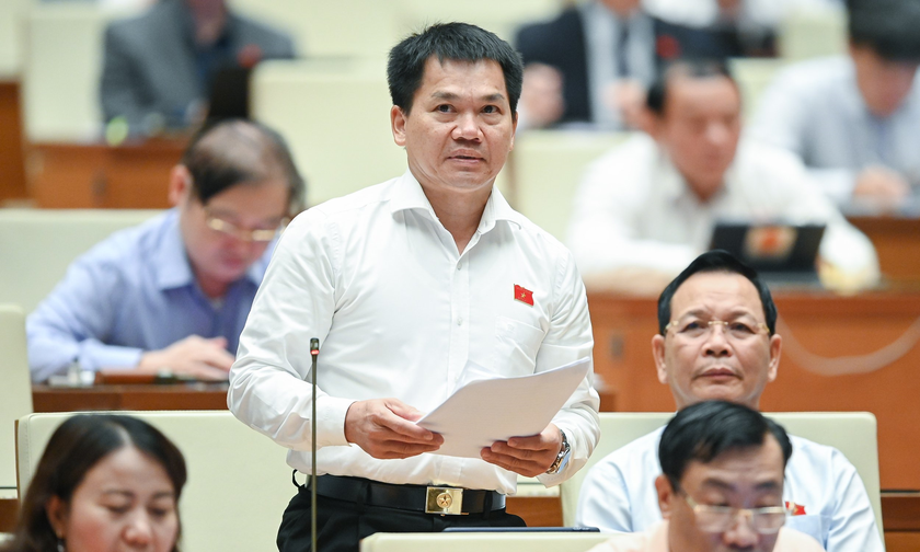 Đại biểu Dương Khắc Mai phát biểu tại phiên họp.