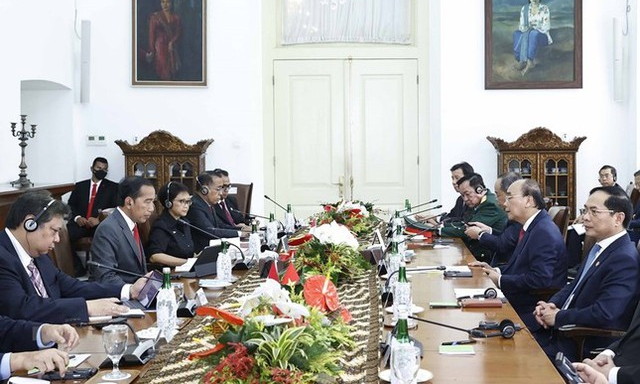 Chủ tịch nước Nguyễn Xuân Phúc hội đàm với Tổng thống Indonesia Joko Widodo.