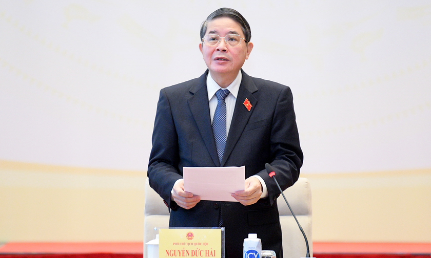 Phó Chủ tịch Nguyễn Đức Hải phát biểu chỉ đạo tại phiên giải trình.
