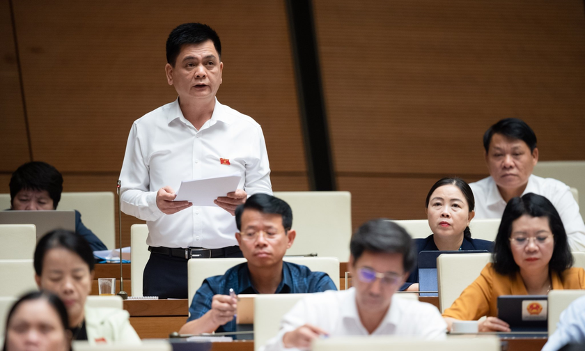 Đại biểu Nguyễn Lâm Thành phát biểu tại phiên họp.