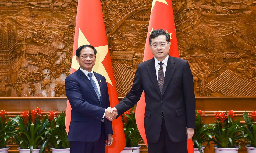 Bộ trưởng Ngoại giao Bùi Thanh Sơn và Ủy viên Quốc vụ, Bộ trưởng Ngoại giao Trung Quốc Tần Cương.