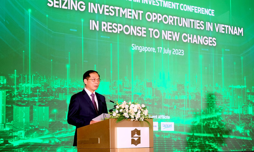 Bộ trưởng Bùi Thanh Sơn phát biểu tại hội thảo.