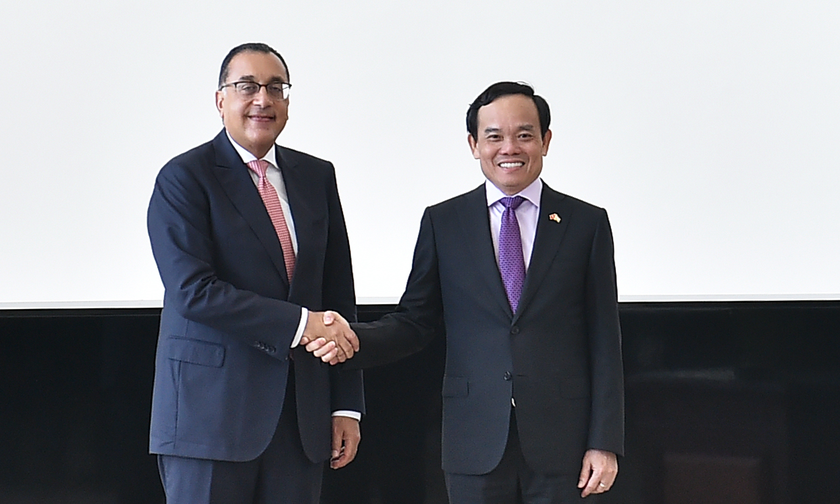 Phó Thủ tướng Trần Lưu Quang và Thủ tướng Ai Cập Mostafa Madbouly.