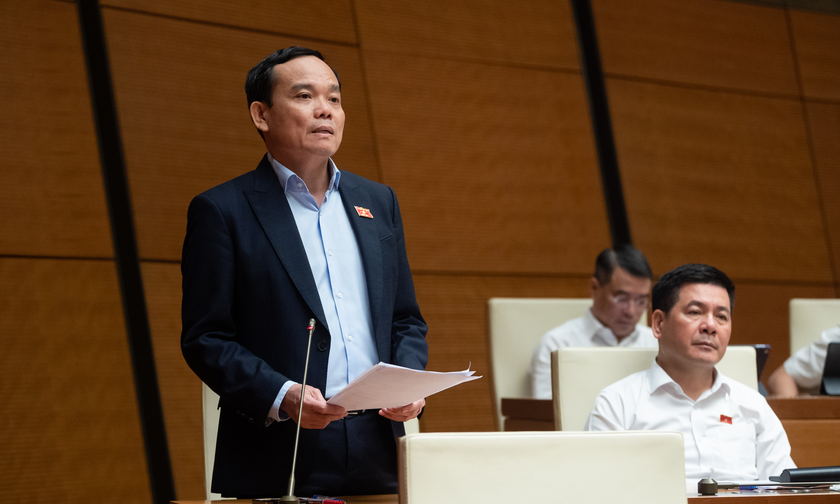 Phó Thủ tướng Trần Lưu Quang phát biểu tại phiên họp.