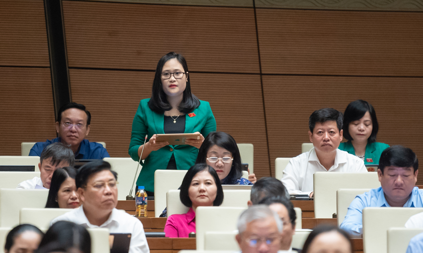 Đại biểu Hà Ánh Phượng phát biểu tại phiên họp.