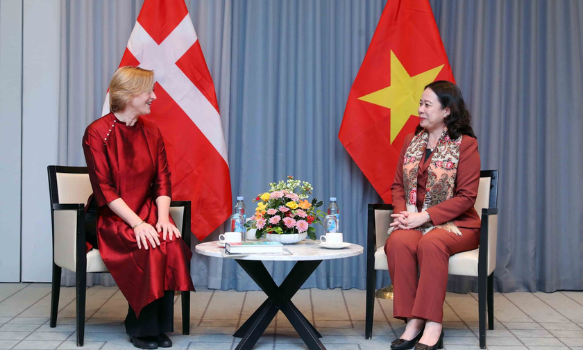 Phó Chủ tịch nước Võ Thị Ánh Xuân tiếp Hội hữu nghị Đan Mạch - Việt Nam. Ảnh: TTXVN