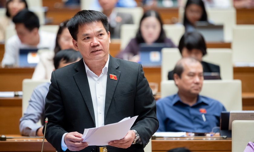 Đại biểu Dương Khắc Mai phát biểu tại phiên họp.