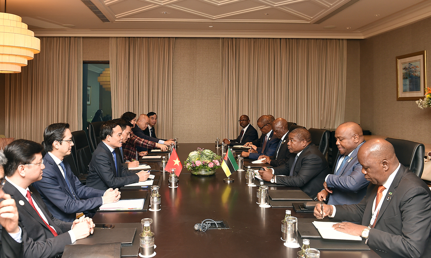 Phó Thủ tướng Trần Lưu Quang gặp Tổng thống Mozambique Filipe Jacinto Nyusi. Ảnh: VGP