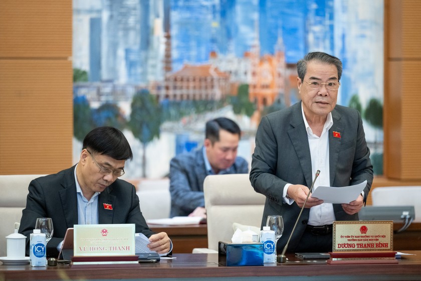 Trưởng Ban Dân nguyện Dương Thanh Bình trình bày báo cáo tại phiên họp. Ảnh Quochoi.vn