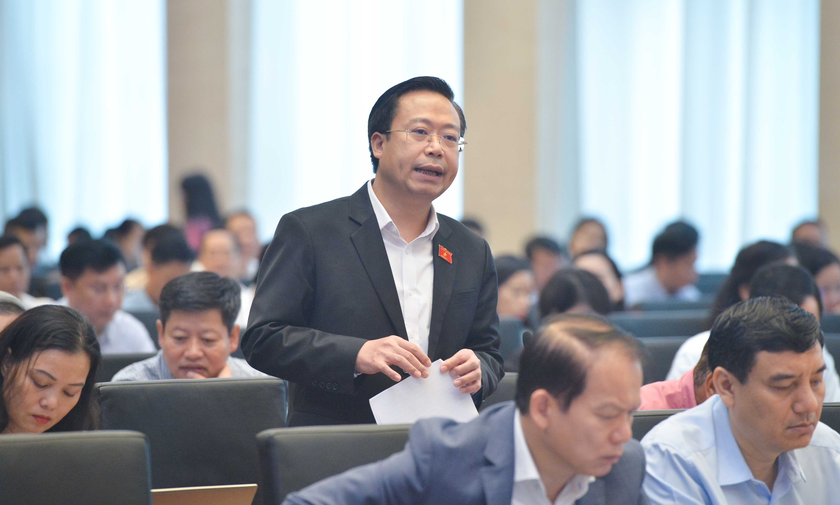 Đại biểu Nguyễn Đại Thắng phát biểu tại phiên họp.