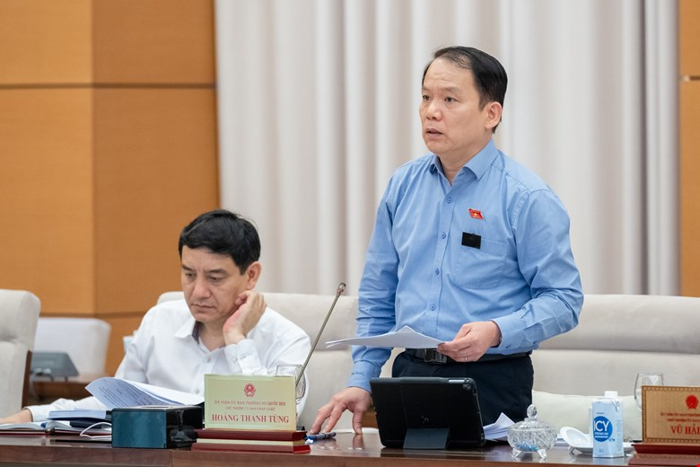 Chủ nhiệm Ủy ban Pháp luật Hoàng Thanh Tùng phát biểu tại phiên họp.
