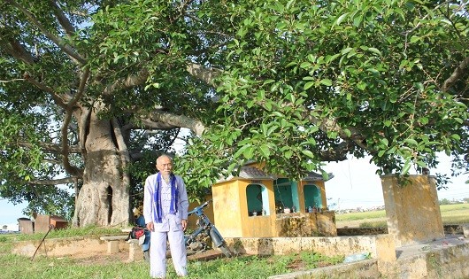 Cụ ông Nguyễn Công Ngân, vị bô lão duy nhất còn sống nắm rõ về lai lịch cặp cây