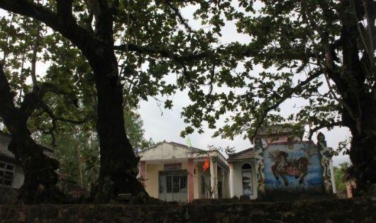 Đình làng nơi ra thờ rừng Miếu Cấm và tiến hành nghi lễ cúng khai sơn mỗi năm.