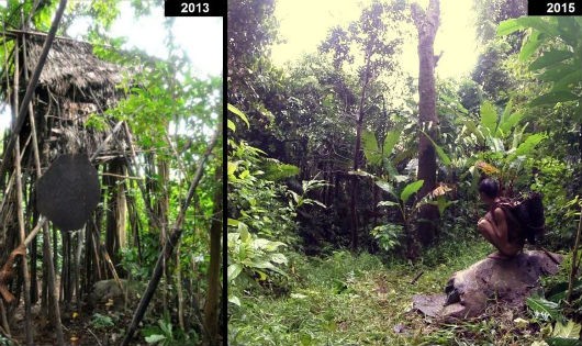 Ngôi nhà trên cây nơi anh Lang được “giải cứu” 3 năm trước và hiện nay.