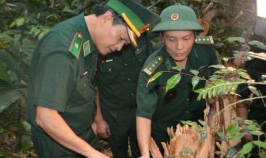 Hiện trường vụ tàn phá rừng tại khu vực cửa khẩu biên giới Nam Giang 