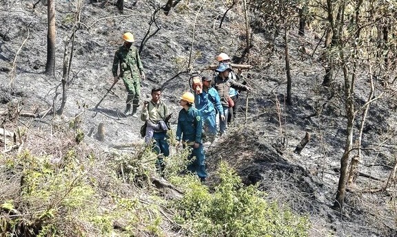 Đã dập tắt hoàn toàn cháy rừng tại Lào Cai