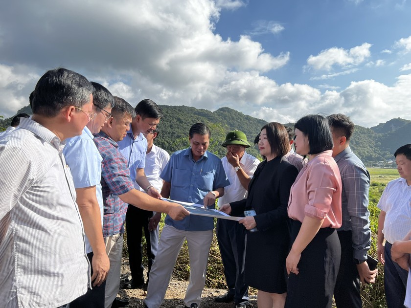 Chủ tịch UBND TP Nguyễn Văn Tùng kiểm tra thực địa các khu vực triển khai dự án tại Cát Hải