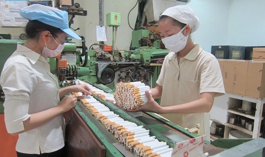 Sẽ phải có giấy phép khi sản xuất hay kinh doanh thuốc lá.