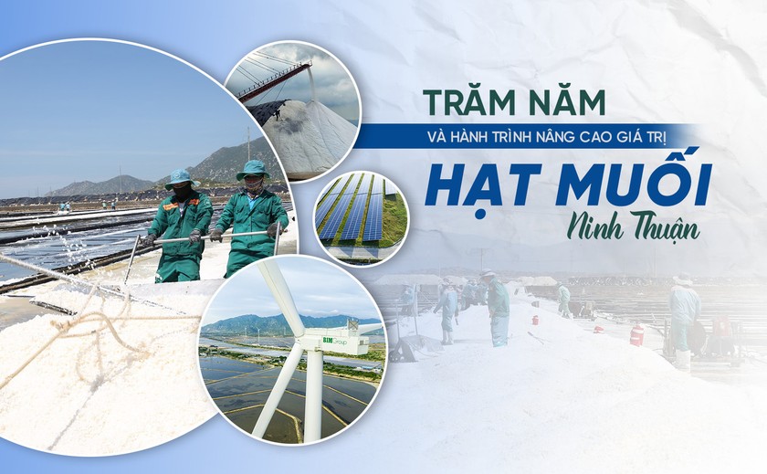Trăm năm và hành trình nâng cao giá trị hạt muối Ninh Thuận
