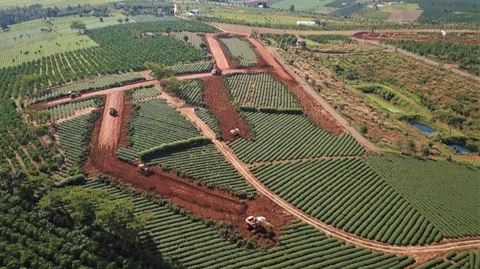 Tình hình phân lô tách thửa trên địa bàn tỉnh Lâm Đồng thời gian qua phức tạp.