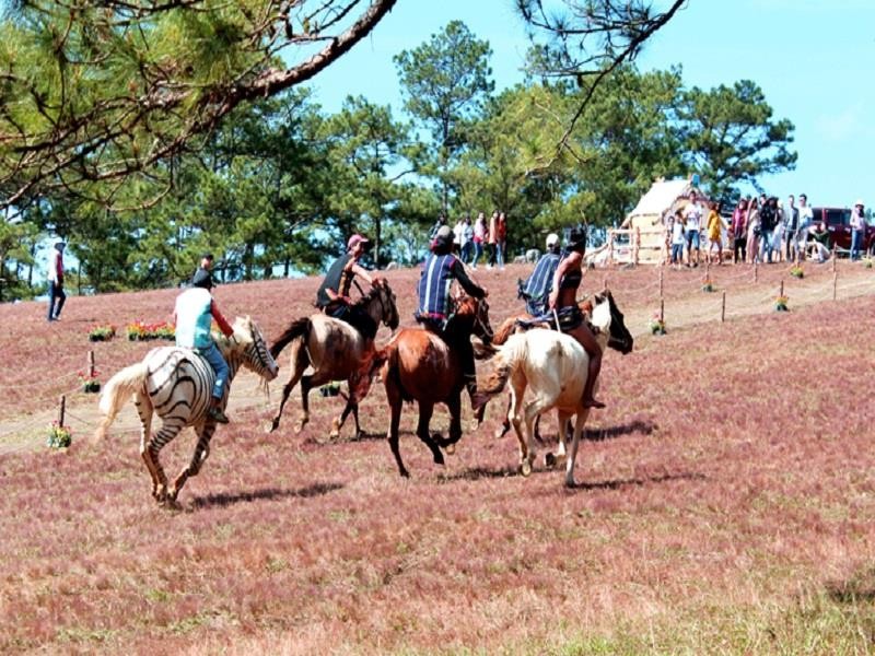 Huyện Lạc Dương muốn xây dựng lễ hội đua ngựa thành di sản văn hóa quốc gia.