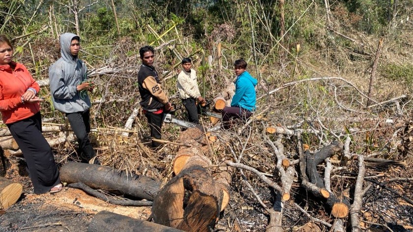 Các đối tượng tại hiện trường vụ phá rừng phòng hộ.