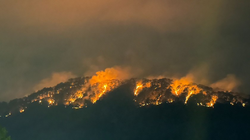 Khu vực rừng bị cháy ở Đà Lạt.