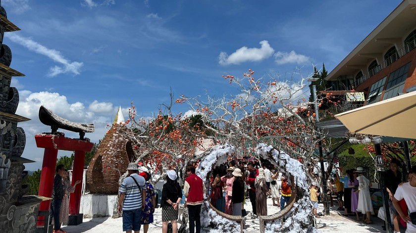 Thời tiết nắng đẹp, se lạnh khiến nhiều du khách đến Đà Lạt tham quan, nghỉ dưỡng.