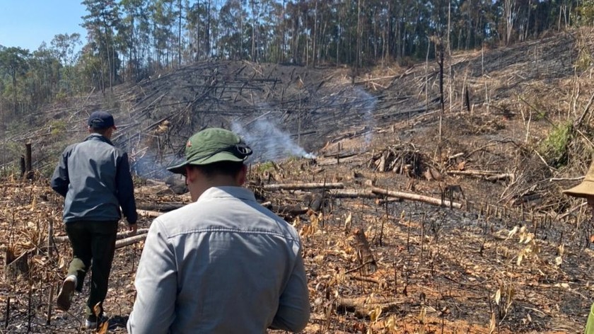 Lực lượng chức năng tỉnh Lâm Đồng kiểm tra hiện trường một vụ phá rừng. 