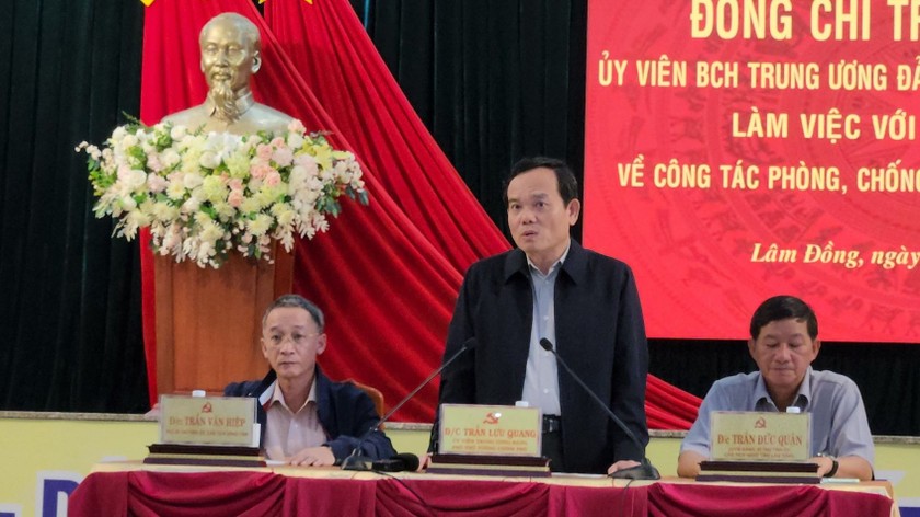 Phó Thủ tướng Trần Lưu Quang phát biểu tại buổi làm việc với lãnh đạo tỉnh Lâm Đồng.