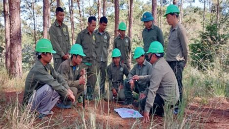 Hộ nhận khoán tham gia tuần tra bảo vệ rừng cùng chủ rừng tại Lâm Đồng.