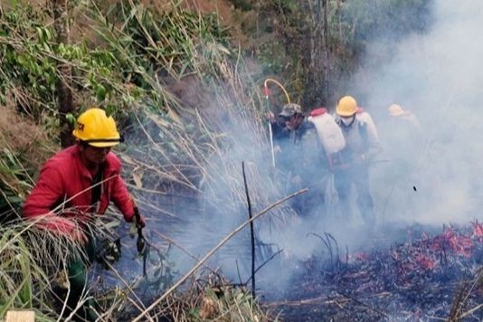 Lực lượng chức năng kịp thời khống chế, dập tắt đám cháy rừng thông ngày 25/2 vừa qua tại TP Đà Lạt.