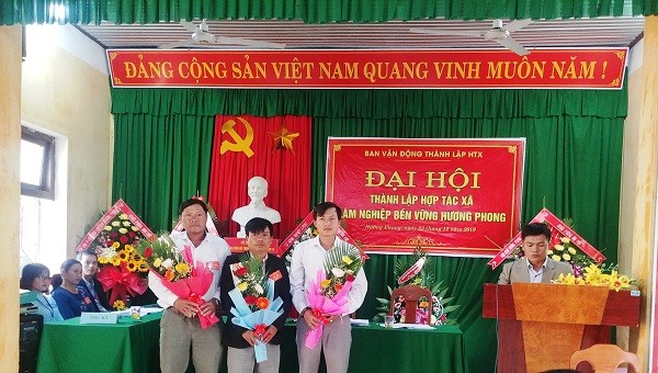 Lãnh đạo của HTX lâm nghiệp bền vững Hương Phong vừa được Đại hội bầu.
