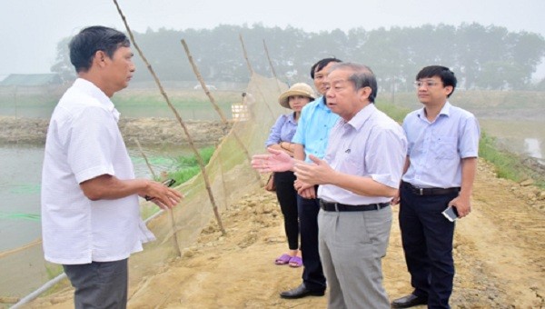 Chủ tịch UBND tỉnh Phan Ngọc Thọ trong một lần kiểm tra tình hình sản xuất của bà con nông dân.